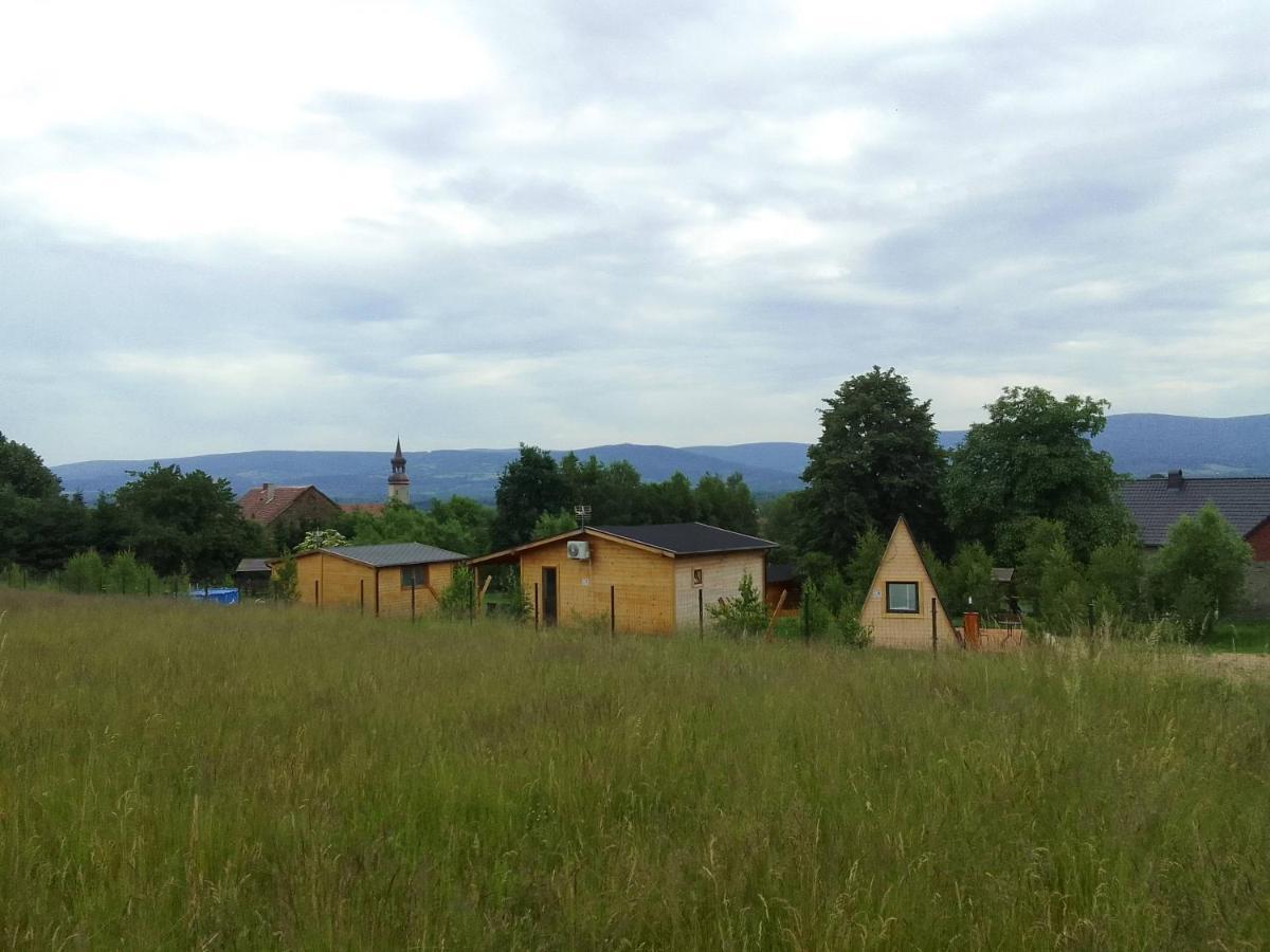 Szalas W Gorach Izerskich, Blisko Swieradow Zdroj I Zamek Czocha, Agroturystyka, Ogrzewanie, Klimatyzacja , Plac Zabaw, Ognisko Z Rusztem I Kijkami, Zywe Zwierzeta, Latem Basen Mirsk Экстерьер фото